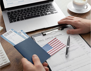 Working Visa